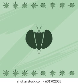 Fly's head icon. Insect illustration.