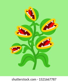 Flytrap monster plant  Flower predator Carnivorous plant  Angry Flowers and Teeth  