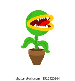 Flytrap in pot  Flower predator Carnivorous plant  Angry Flowers and Teeth  