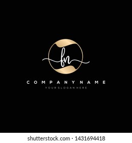 FN handwriting initial logo template vector.