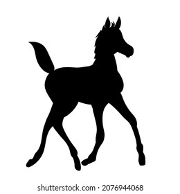 foal black silhouette vector, isolated