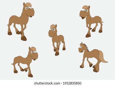 Foal In Different Poses, Happy Baby Horse Walking And Running