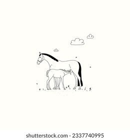 Foal drinks milk, a scene in a summer meadow
