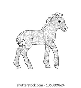 foal zentangle on white background