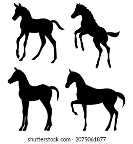 foals, black silhouette vector, isolated