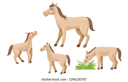 Foals in different poses, mom horse with children, vector isolated characters on white background. Animals of the village for a walk. Cartoon flat style illustration.