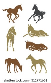 Foals horses vector set