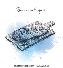 Focaccia ligure watercolor effect illustration. Vector illustration of Italian cuisine.