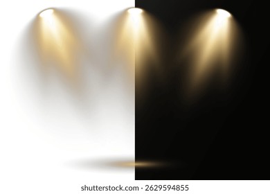 Luzes de spot focadas se projetam na área central do palco. As luzes de estúdio formam sombras dramáticas e anéis de luz de spot. A iluminação de concerto emite fortes linhas radiantes em movimento. Elementos do projetor