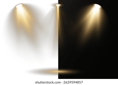 Luzes de spot focadas se projetam na área central do palco. As luzes de estúdio formam sombras dramáticas e anéis de luz de spot. A iluminação de concerto emite fortes linhas radiantes em movimento. Elementos do projetor