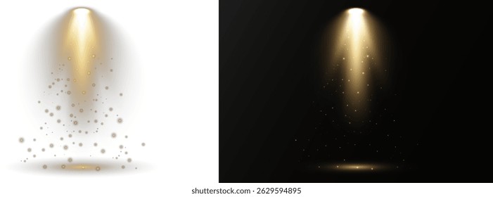 Luzes de spot focadas se projetam na área central do palco. As luzes de estúdio formam sombras dramáticas e anéis de luz de spot. A iluminação de concerto emite fortes linhas radiantes em movimento. Elementos do projetor