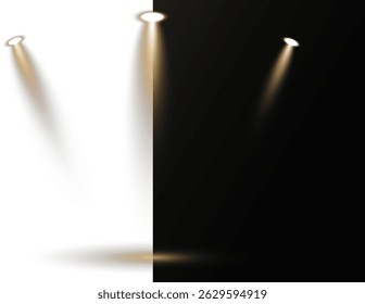 Luzes de spot focadas se projetam na área central do palco. As luzes de estúdio formam sombras dramáticas e anéis de luz de spot. A iluminação de concerto emite fortes linhas radiantes em movimento. Elementos do projetor