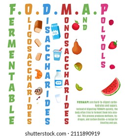 Fodmaps are hard to digest carbohydrates and sugars. Healthy nutrition infographics. Irritable Bowel Syndrome. Digestive problems causes. Editable vector illustration isolated on a white background