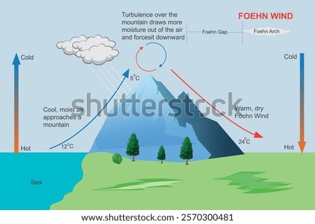 Foehn winds are warm, dry winds that descend leeward slopes of mountains, caused by adiabatic heating as moist air rises and loses moisture.Foehn wind illustration.