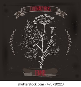 Foeniculum vulgare aka fennel vector hand drawn sketch on black grunge background. Culinary herbs collection. Great for cooking, medical, gardening design.