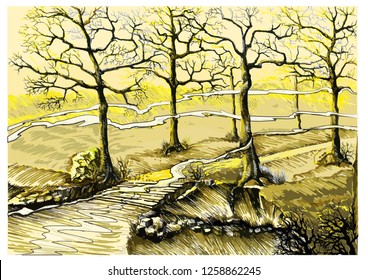 Fog in the morning forest. Vector image of post-polyptic nature. Lineart landscape. 