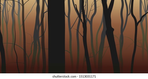 Fog night forest nature background