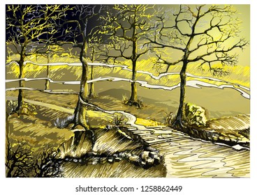 Fog in the night forest. 
Nature of post apocalypse. Fall in forest. Linear illustration of a forest landscape.