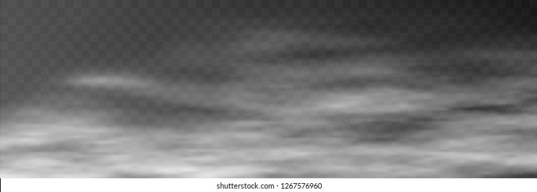 Fog on transparent background, panoramic image, vector background, EPS10