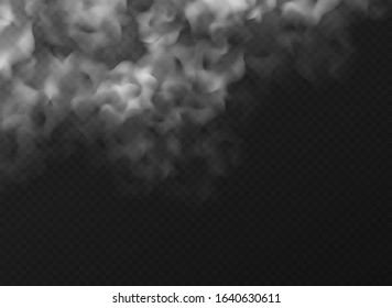 Fog or smoke cloud isolated on transparent background. Realistic smog, haze, mist or cloudiness effect. Realistic vector illustration.