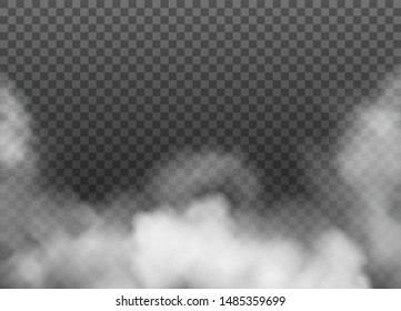 Fog Or Smoke Isolated On Transparent Background. Vector Illustration. 