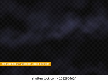 Fog or smoke isolated realistic, transparent effect background. Light clot of clouds. Gaseous chemical element, white vapor
