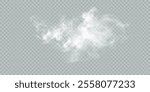 Fog or smoke isolated transparent background. White cloudiness, fog, smog, dust, smoke, steam PNG. Vector