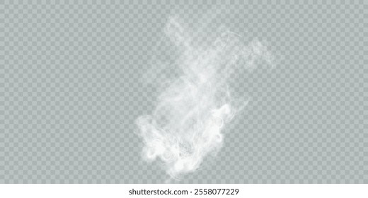 Fog or smoke isolated transparent background. White cloudiness, fog, smog, dust, smoke, steam PNG. Vector