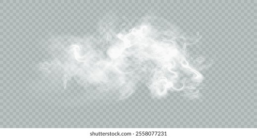 Fog or smoke isolated transparent background. White cloudiness, fog, smog, dust, smoke, steam PNG. Vector