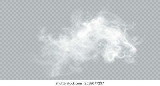 Fog or smoke isolated transparent background. White cloudiness, fog, smog, dust, smoke, steam PNG. Vector