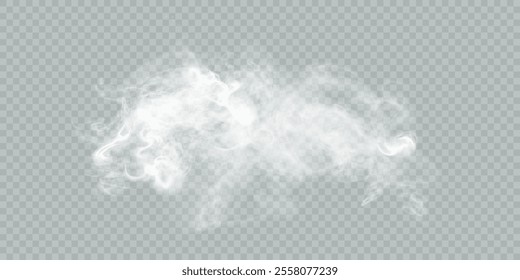 Fog or smoke isolated transparent background. White cloudiness, fog, smog, dust, smoke, steam PNG. Vector