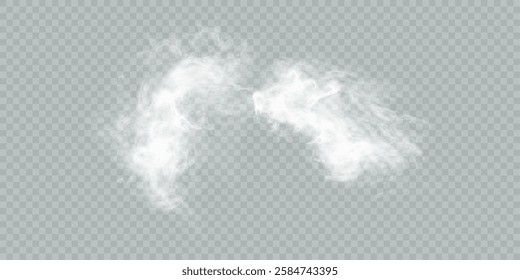 Fog or smoke isolated transparent background. White cloud, fog, smog, dust, steam. Vector 10 EPS