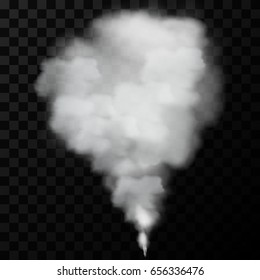 Fog or smoke isolated transparent background. Vector illustration