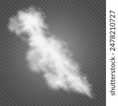 Fog or smoke isolated transparent special effect. White vector cloudiness, mist or smog background. Vector illustration	
