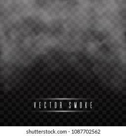 Fog or smoke isolated transparent special effect.Smoke or cloud effect on transparent background. Realistic fog.Vector illustration.