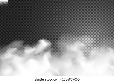 Fog or smoke isolated transparent special effect. White vector cloudiness, mist or smog background. Vector illustration