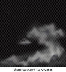 Fog or smoke isolated transparent special effect. White vector cloudiness, mist or smog background. Vector illustration - Vector illustration
