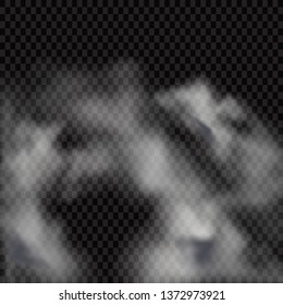 Fog or smoke isolated transparent special effect. White vector cloudiness, mist or smog background. Vector illustration - Vector illustration