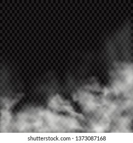 Fog or smoke isolated transparent special effect. White vector cloudiness, mist or smog background. Vector illustration - Vector illustration