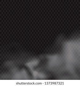 Fog or smoke isolated transparent special effect. White vector cloudiness, mist or smog background. Vector illustration - Vector illustration