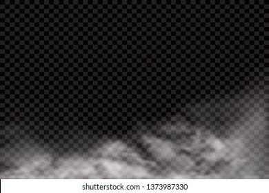 Fog or smoke isolated transparent special effect. White vector cloudiness, mist or smog background. Vector illustration - Vector illustration