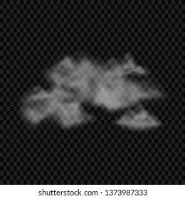 Fog or smoke isolated transparent special effect. White vector cloudiness, mist or smog background. Vector illustration - Vector illustration