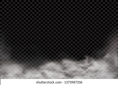 Fog or smoke isolated transparent special effect. White vector cloudiness, mist or smog background. Vector illustration - Vector illustration