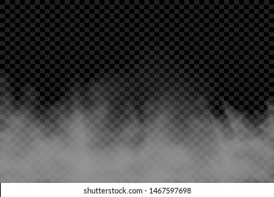 Fog or smoke isolated transparent special effect. White vector cloudiness, mist or smog background. Vector illustration - Vector