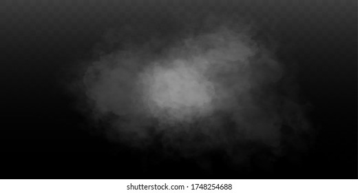 Fog or smoke isolated transparent special effect. White vector cloudiness, mist or smog background. Vector illustration
