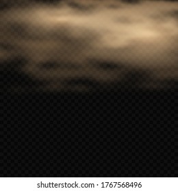 Fog or smoke isolated transparent special effect. Dark vector cloudiness, mist or smog background. Magic haze, steam illustration.