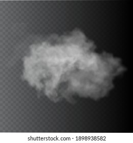 Fog or smoke isolated transparent special effect.
