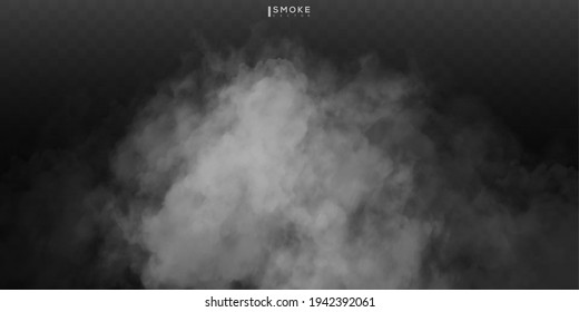 Fog or smoke isolated transparent special effect. White vector cloudiness, mist or smog background. Vector illustration
