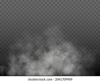 Fog or smoke isolated transparent special effect. White vector cloudiness, mist or smog background. Vector illustration