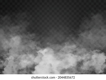 Niebla o humo aislado efecto especial transparente. Sequedad vectorial blanca, niebla o fondo de smog. Ilustración del vector